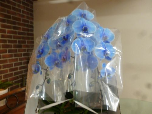 画像の名前を入力