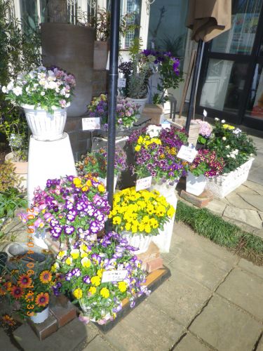 画像の名前を入力