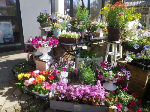 画像の名前を入力