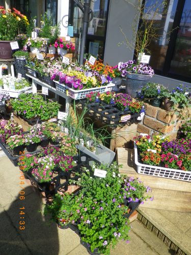 画像の名前を入力