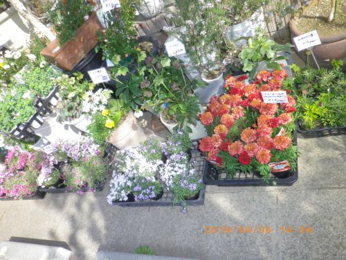 画像の名前を入力