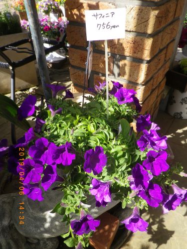 画像の名前を入力