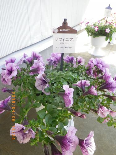 画像の名前を入力