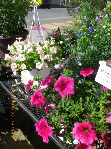 画像の名前を入力