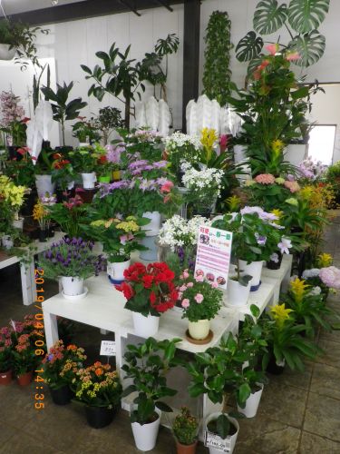 画像の名前を入力