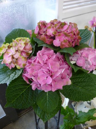 画像の名前を入力