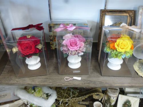 画像の名前を入力