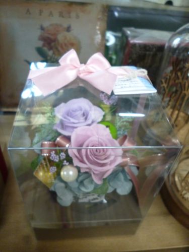 画像の名前を入力