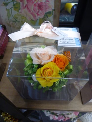 画像の名前を入力