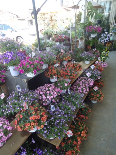 画像の名前を入力