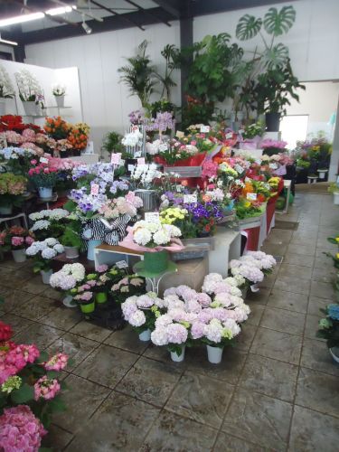 画像の名前を入力