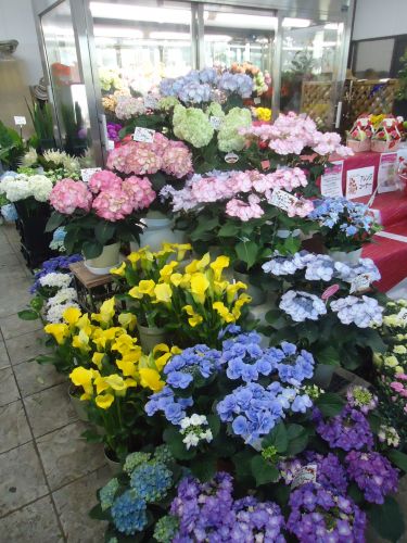 画像の名前を入力