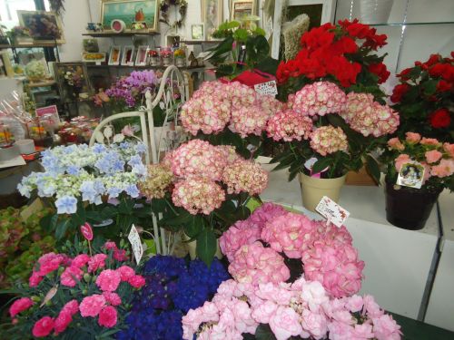 画像の名前を入力