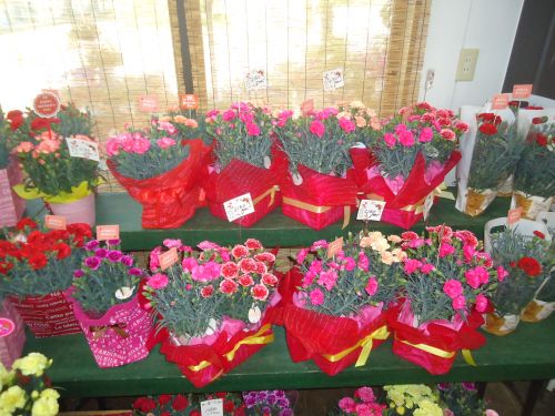 画像の名前を入力