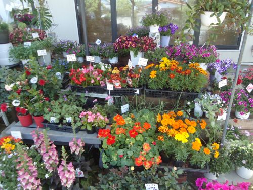 画像の名前を入力