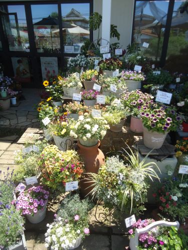 画像の名前を入力