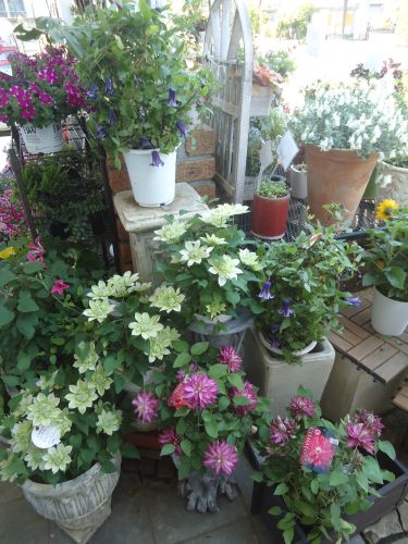 画像の名前を入力