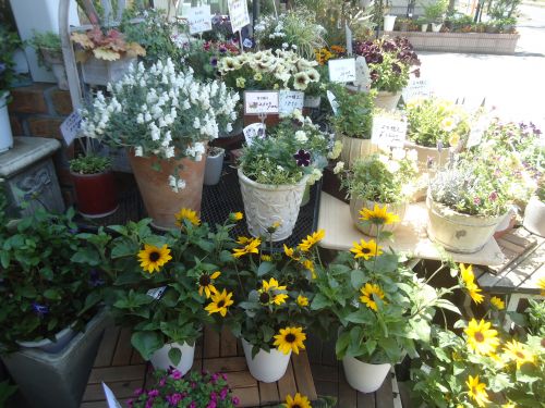 画像の名前を入力