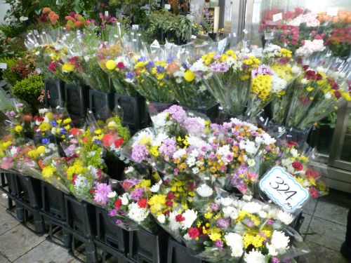 画像の名前を入力