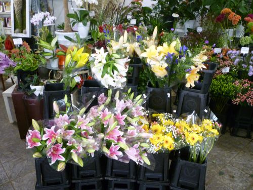 画像の名前を入力