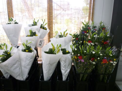 画像の名前を入力