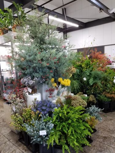 画像の名前を入力