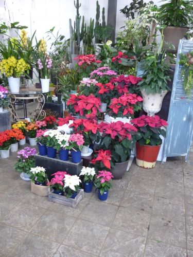 画像の名前を入力