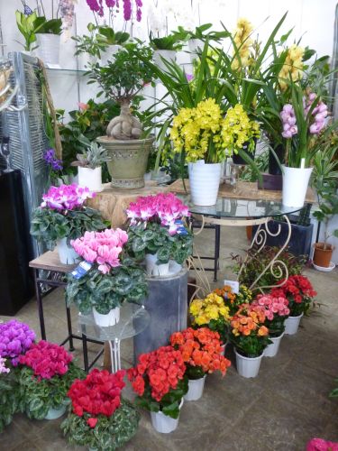 画像の名前を入力