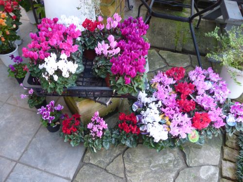 画像の名前を入力