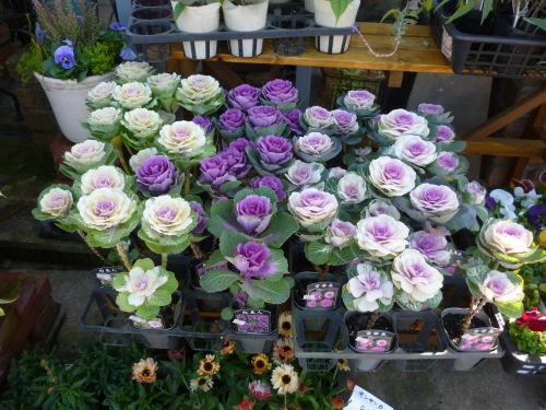 画像の名前を入力