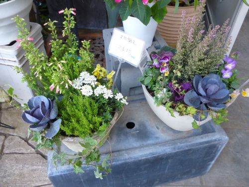 画像の名前を入力