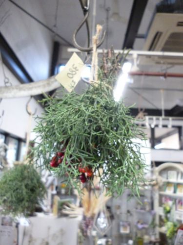 画像の名前を入力