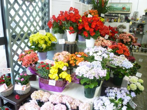 画像の名前を入力