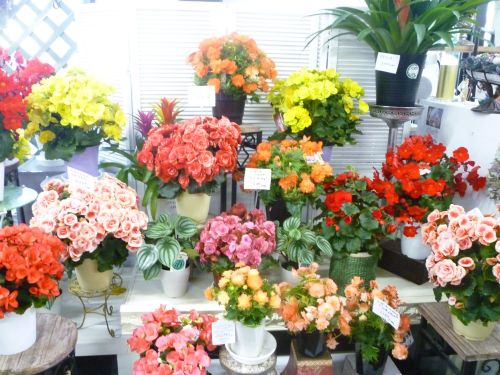 画像の名前を入力