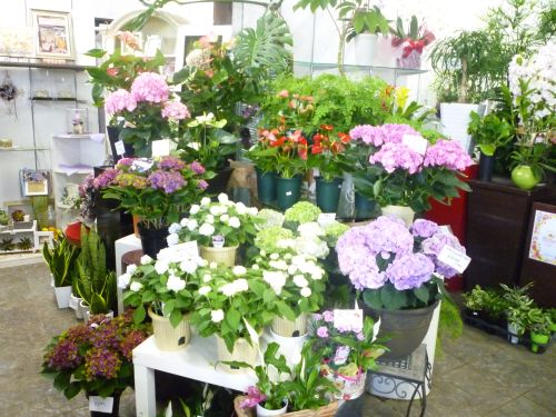 画像の名前を入力