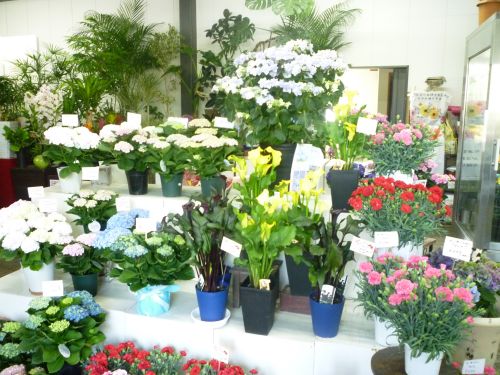 画像の名前を入力