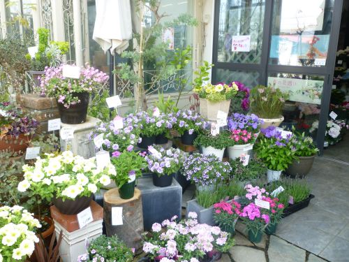 画像の名前を入力