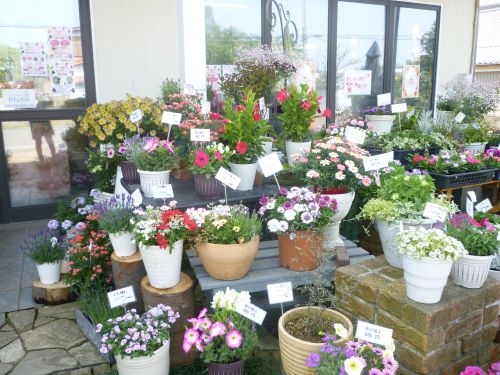 画像の名前を入力