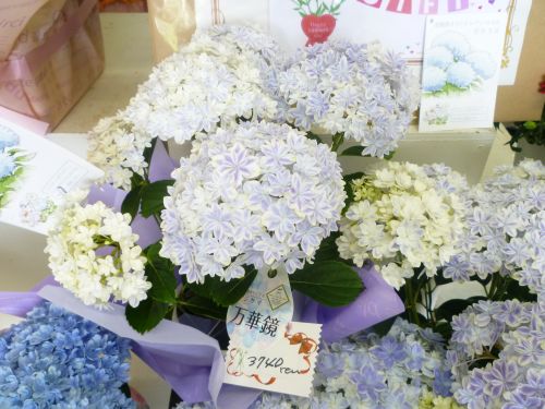 画像の名前を入力