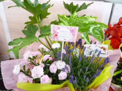 画像の名前を入力