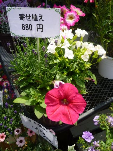 画像の名前を入力