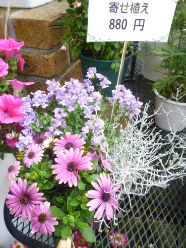 画像の名前を入力