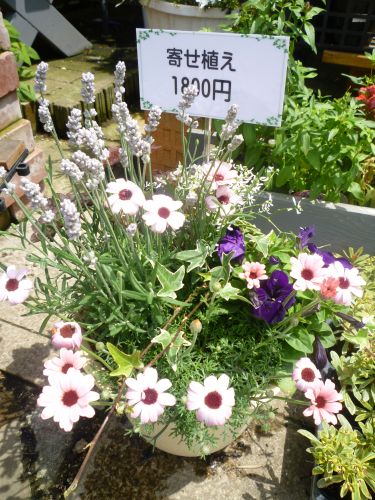 画像の名前を入力