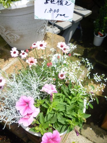 画像の名前を入力