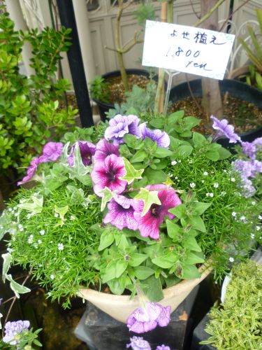 画像の名前を入力