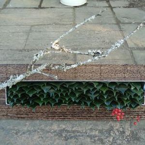 画像の名前を入力