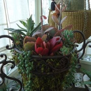 画像の名前を入力