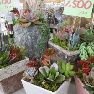 画像の名前を入力