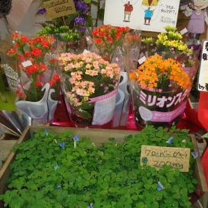 画像の名前を入力