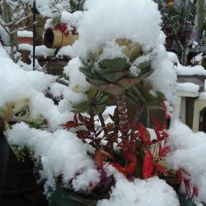 画像の名前を入力